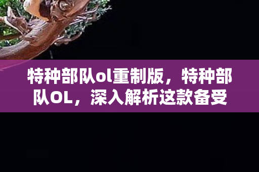 特种部队ol重制版，特种部队OL，深入解析这款备受瞩目的军事游戏