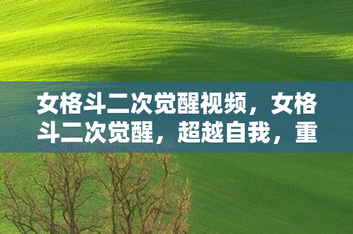 女格斗二次觉醒视频，女格斗二次觉醒，超越自我，重塑荣耀