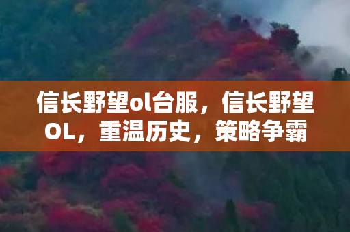 信长野望ol台服，信长野望OL，重温历史，策略争霸的网游新纪元