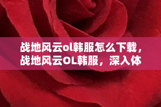 战地风云ol韩服怎么下载，战地风云OL韩服，深入体验与独特魅力解析