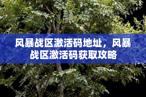 风暴战区激活码地址，风暴战区激活码获取攻略
