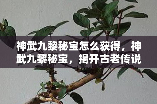 神武九黎秘宝怎么获得，神武九黎秘宝，揭开古老传说中的神秘宝藏