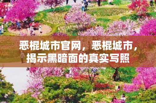 恶棍城市官网，恶棍城市，揭示黑暗面的真实写照