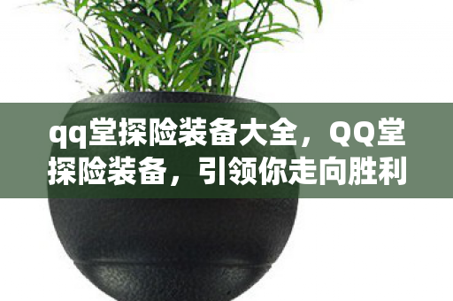 qq堂探险装备大全，QQ堂探险装备，引领你走向胜利的宝藏