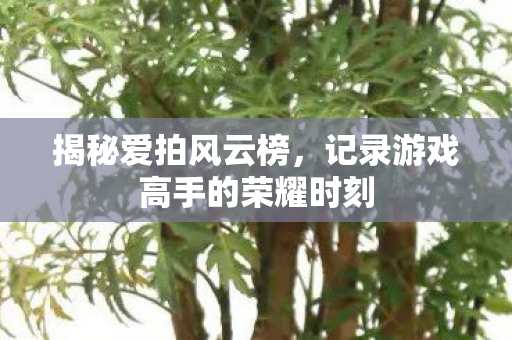 揭秘爱拍风云榜，记录游戏高手的荣耀时刻