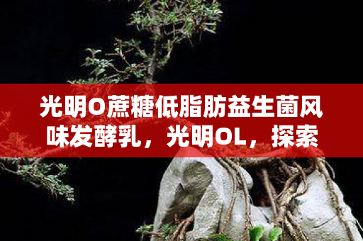 光明O蔗糖低脂肪益生菌风味发酵乳，光明OL，探索无尽的游戏世界