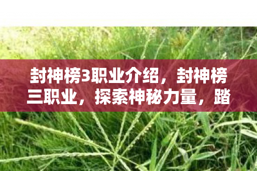 封神榜3职业介绍，封神榜三职业，探索神秘力量，踏上封神之旅