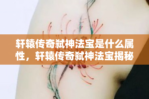 轩辕传奇弑神法宝是什么属性，轩辕传奇弑神法宝揭秘