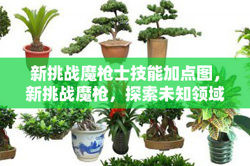 新挑战魔枪士技能加点图，新挑战魔枪，探索未知领域的神秘武器