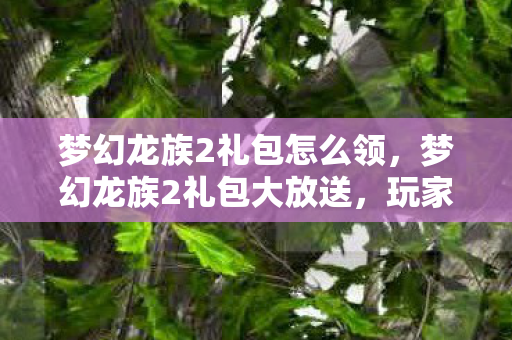 梦幻龙族2礼包怎么领，梦幻龙族2礼包大放送，玩家狂欢盛宴开启！