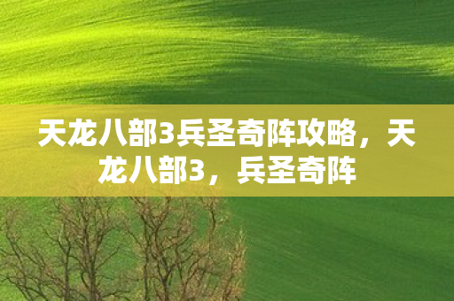 天龙八部3兵圣奇阵攻略，天龙八部3，兵圣奇阵