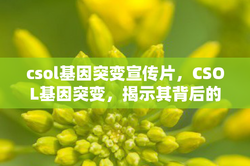 csol基因突变宣传片，CSOL基因突变，揭示其背后的神秘面纱