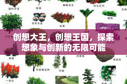 创想大王，创想王国，探索想象与创新的无限可能