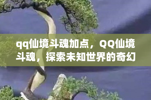 qq仙境斗魂加点，QQ仙境斗魂，探索未知世界的奇幻之旅