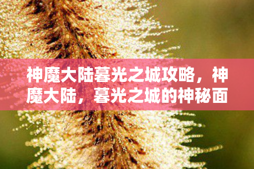 神魔大陆暮光之城攻略，神魔大陆，暮光之城的神秘面纱