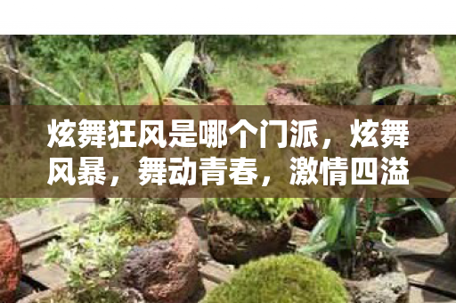 炫舞狂风是哪个门派，炫舞风暴，舞动青春，激情四溢的舞蹈世界