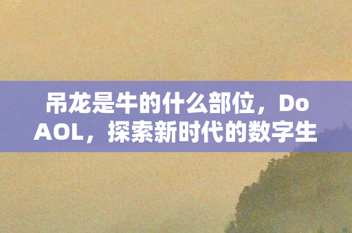 吊龙是牛的什么部位，DoAOL，探索新时代的数字生活方式