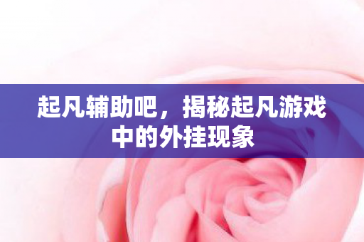 起凡辅助吧，揭秘起凡游戏中的外挂现象