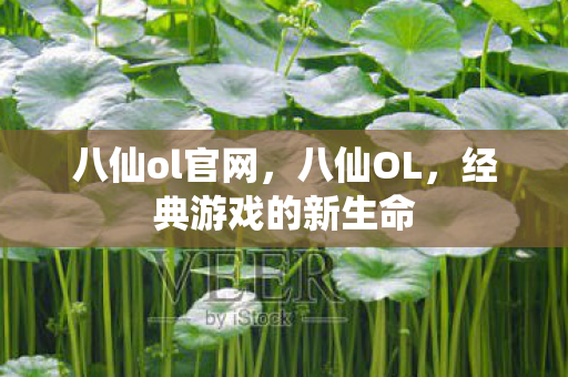 八仙ol官网，八仙OL，经典游戏的新生命