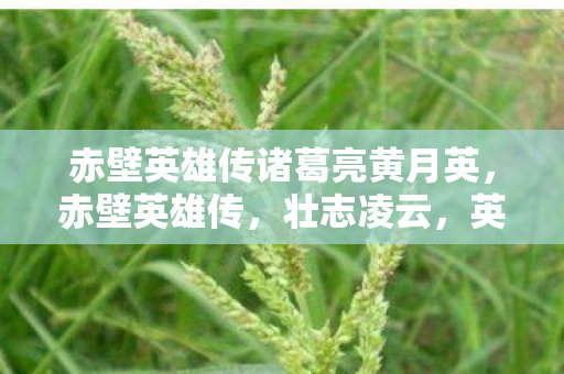 赤壁英雄传诸葛亮黄月英，赤壁英雄传，壮志凌云，英勇无畏