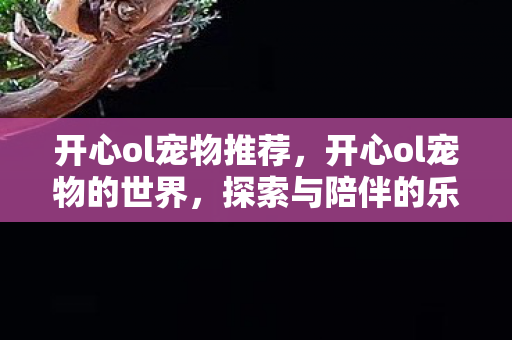 开心ol宠物推荐，开心ol宠物的世界，探索与陪伴的乐趣