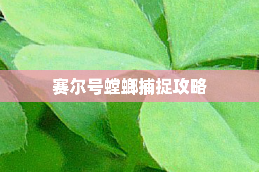 赛尔号螳螂捕捉攻略