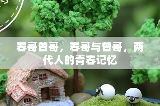 春哥曾哥，春哥与曾哥，两代人的青春记忆