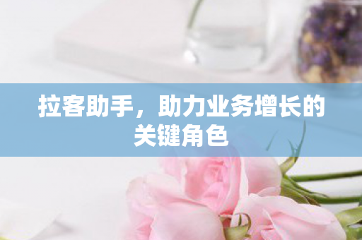 拉客助手，助力业务增长的关键角色