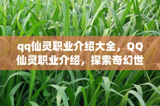 qq仙灵职业介绍大全，QQ仙灵职业介绍，探索奇幻世界的多元角色