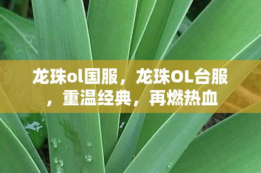 龙珠ol国服，龙珠OL台服，重温经典，再燃热血