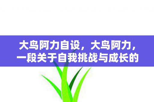 大鸟阿力自设，大鸟阿力，一段关于自我挑战与成长的故事