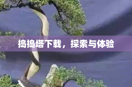 捣捣塔下载，探索与体验