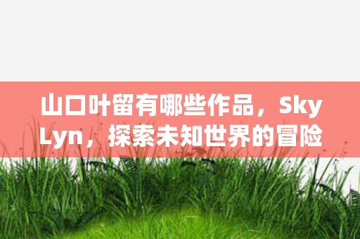 山口叶留有哪些作品，SkyLyn，探索未知世界的冒险之旅