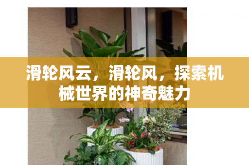 滑轮风云，滑轮风，探索机械世界的神奇魅力