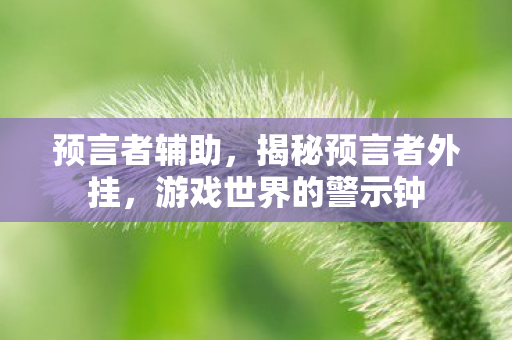 预言者辅助，揭秘预言者外挂，游戏世界的警示钟