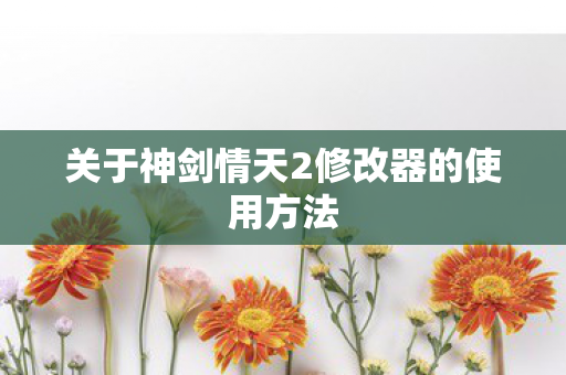 关于神剑情天2修改器的使用方法