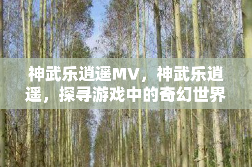 神武乐逍遥MV，神武乐逍遥，探寻游戏中的奇幻世界与人生感悟
