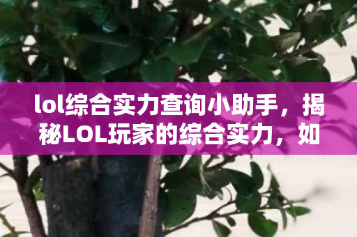 lol综合实力查询小助手，揭秘LOL玩家的综合实力，如何全方位查询与提升