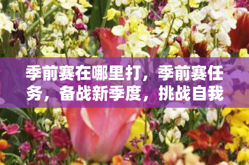 季前赛在哪里打，季前赛任务，备战新季度，挑战自我极限