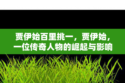 贾伊始百里挑一，贾伊始，一位传奇人物的崛起与影响