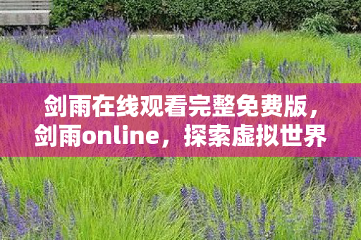 剑雨在线观看完整免费版，剑雨online，探索虚拟世界的奇幻之旅
