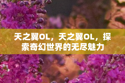 天之翼OL，天之翼OL，探索奇幻世界的无尽魅力