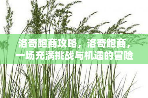 洛奇跑商攻略，洛奇跑商，一场充满挑战与机遇的冒险之旅