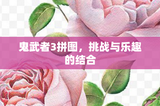 鬼武者3拼图，挑战与乐趣的结合