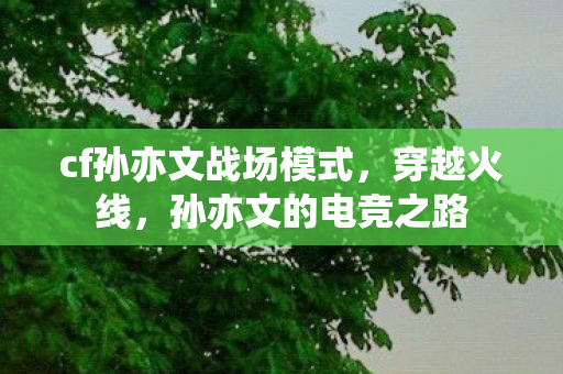 cf孙亦文战场模式，穿越火线，孙亦文的电竞之路