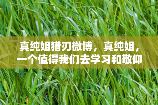 真纯姐猎刃微博，真纯姐，一个值得我们去学习和敬仰的人物