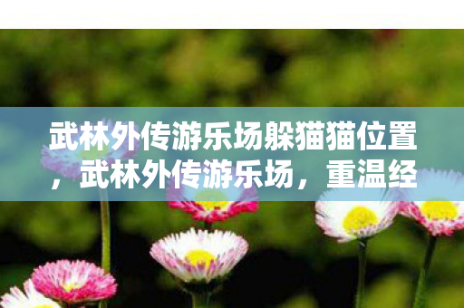 武林外传游乐场躲猫猫位置，武林外传游乐场，重温经典，寻找江湖乐趣