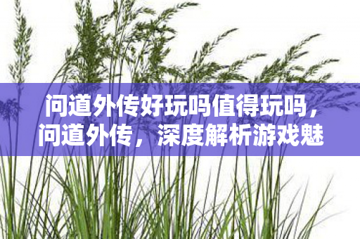 问道外传好玩吗值得玩吗，问道外传，深度解析游戏魅力，究竟好玩与否？