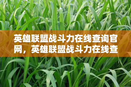 英雄联盟战斗力在线查询官网，英雄联盟战斗力在线查询，掌握游戏实力的秘密武器