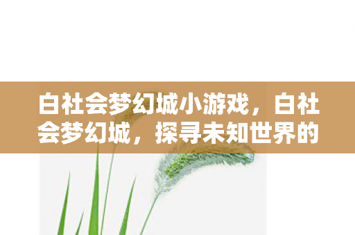 白社会梦幻城小游戏，白社会梦幻城，探寻未知世界的奇幻之旅